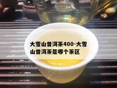 大雪山普洱茶400-大雪山普洱茶是哪个茶区