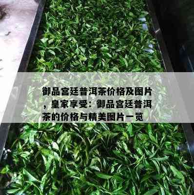 御品宫廷普洱茶价格及图片，皇家享受：御品宫廷普洱茶的价格与精美图片一览