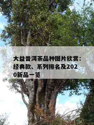 大益普洱茶品种图片欣赏：经典款、系列排名及2020新品一览