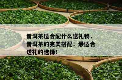 普洱茶适合配什么送礼物，普洱茶的完美搭配：最适合送礼的选择！