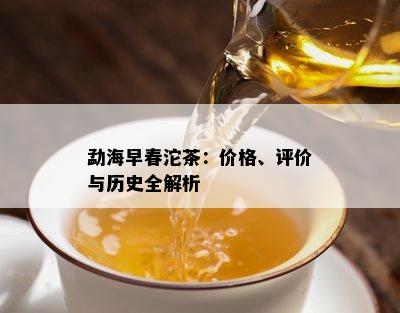 勐海早春沱茶：价格、评价与历史全解析