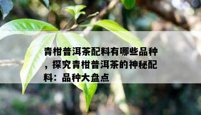 青柑普洱茶配料有哪些品种，探究青柑普洱茶的神秘配料：品种大盘点