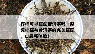 柠檬可以搭配普洱茶吗，探究柠檬与普洱茶的完美搭配，口感新体验！