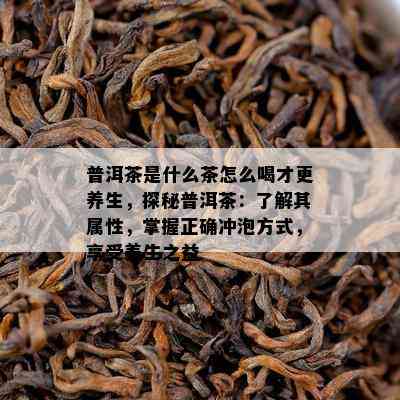 普洱茶是什么茶怎么喝才更养生，探秘普洱茶：了解其属性，掌握正确冲泡方式，享受养生之益