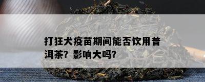 打狂犬疫苗期间能否饮用普洱茶？影响大吗？