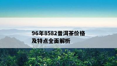 96年8582普洱茶价格及特点全面解析