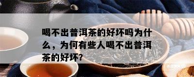 喝不出普洱茶的好坏吗为什么，为何有些人喝不出普洱茶的好坏？