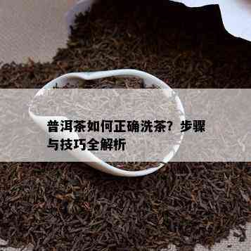 普洱茶如何正确洗茶？步骤与技巧全解析