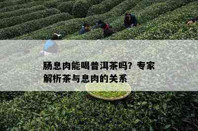 肠息肉能喝普洱茶吗？专家解析茶与息肉的关系