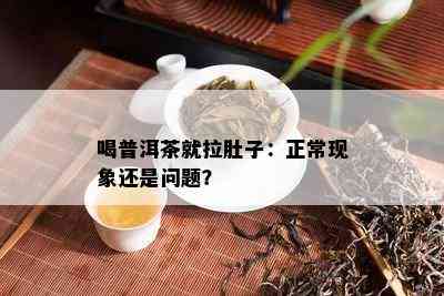 喝普洱茶就拉肚子：正常现象还是问题？