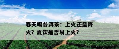 春天喝普洱茶：上火还是降火？夏饮是否易上火？