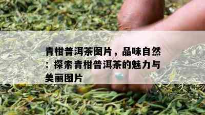 青柑普洱茶图片，品味自然：探索青柑普洱茶的魅力与美丽图片