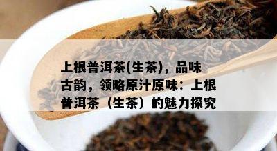 上根普洱茶(生茶)，品味古韵，领略原汁原味：上根普洱茶（生茶）的魅力探究