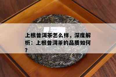 上根普洱茶怎么样，深度解析：上根普洱茶的品质如何？