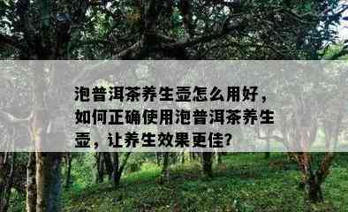 泡普洱茶养生壶怎么用好，如何正确使用泡普洱茶养生壶，让养生效果更佳？