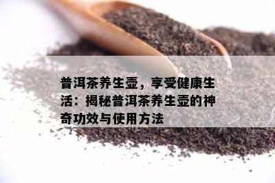 普洱茶养生壶，享受健康生活：揭秘普洱茶养生壶的神奇功效与使用方法