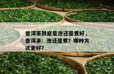 普洱茶到底是泡还是煮好，普洱茶：泡还是煮？哪种方式更好？