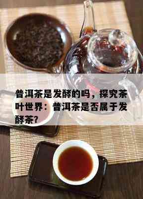 普洱茶是发酵的吗，探究茶叶世界：普洱茶是否属于发酵茶？