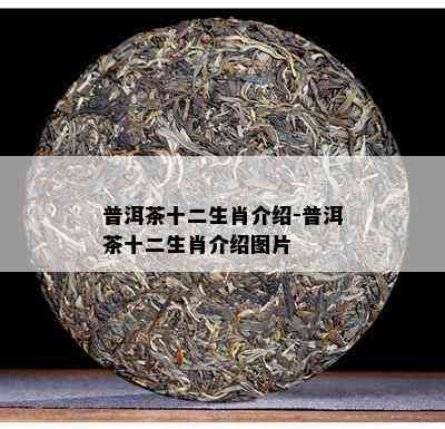 普洱茶十二生肖介绍-普洱茶十二生肖介绍图片