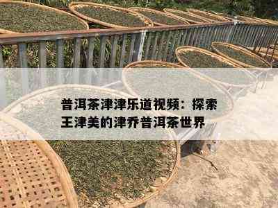 普洱茶津津乐道视频：探索王津美的津乔普洱茶世界