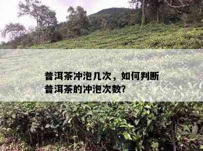 普洱茶冲泡几次，如何判断普洱茶的冲泡次数？