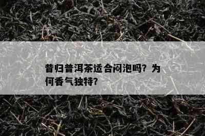 昔归普洱茶适合闷泡吗？为何香气独特？