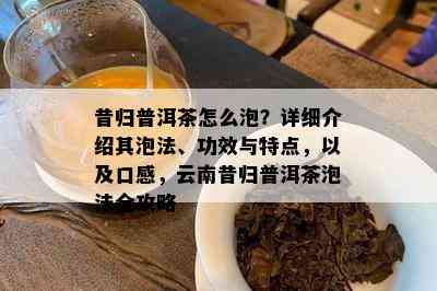 昔归普洱茶怎么泡？详细介绍其泡法、功效与特点，以及口感，云南昔归普洱茶泡法全攻略