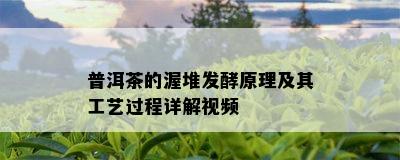 普洱茶的渥堆发酵原理及其工艺过程详解视频