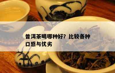 普洱茶喝哪种好？比较各种口感与优劣