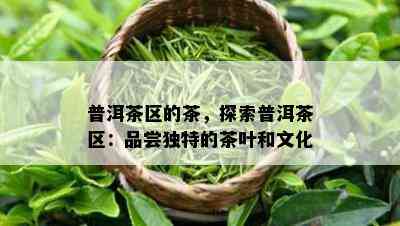 普洱茶区的茶，探索普洱茶区：品尝独特的茶叶和文化