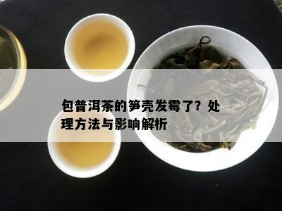 包普洱茶的笋壳发霉了？处理方法与影响解析