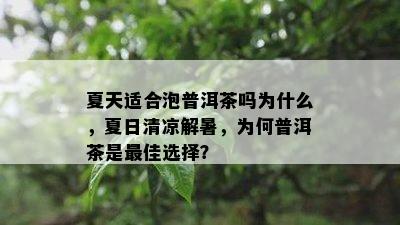 夏天适合泡普洱茶吗为什么，夏日清凉解暑，为何普洱茶是更佳选择？