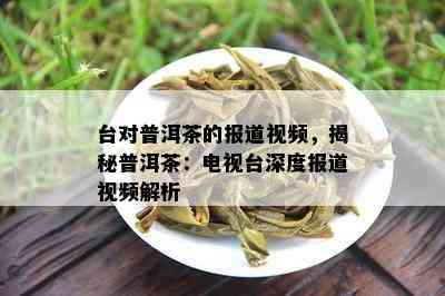 台对普洱茶的报道视频，揭秘普洱茶：电视台深度报道视频解析