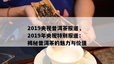 2019央视普洱茶报道，2019年央视特别报道：揭秘普洱茶的魅力与价值