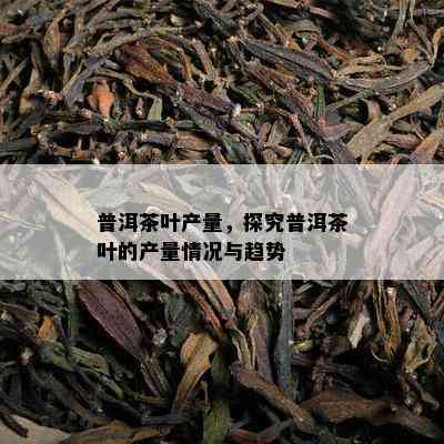 普洱茶叶产量，探究普洱茶叶的产量情况与趋势