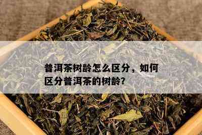 普洱茶树龄怎么区分，如何区分普洱茶的树龄？