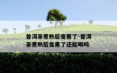 普洱茶煮熟后变黑了-普洱茶煮熟后变黑了还能喝吗