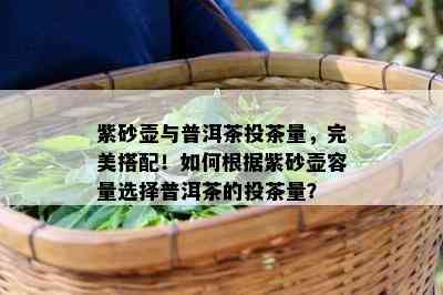 紫砂壶与普洱茶投茶量，完美搭配！如何根据紫砂壶容量选择普洱茶的投茶量？