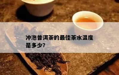 冲泡普洱茶的更佳茶水温度是多少？