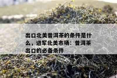 出口北美普洱茶的条件是什么，进军北美市场：普洱茶出口的必备条件