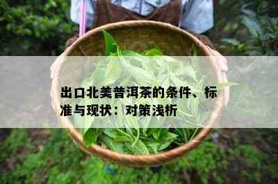 出口北美普洱茶的条件、标准与现状：对策浅析