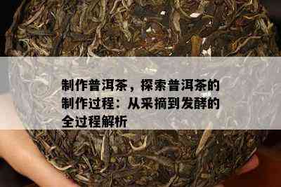 制作普洱茶，探索普洱茶的制作过程：从采摘到发酵的全过程解析