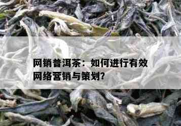 网销普洱茶：如何进行有效网络营销与策划？