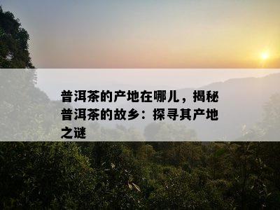 普洱茶的产地在哪儿，揭秘普洱茶的故乡：探寻其产地之谜