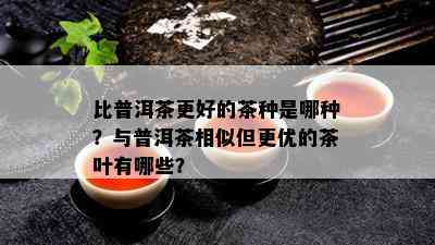 比普洱茶更好的茶种是哪种？与普洱茶相似但更优的茶叶有哪些？