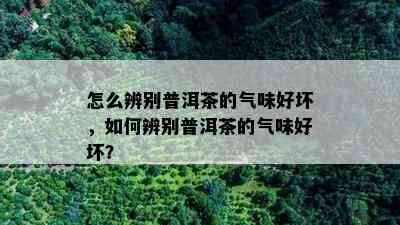 怎么辨别普洱茶的气味好坏，如何辨别普洱茶的气味好坏？