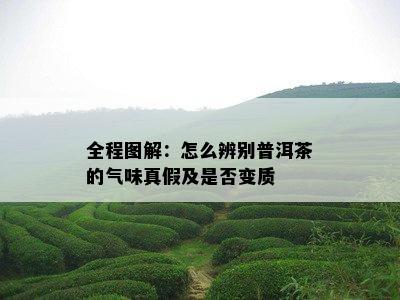 全程图解：怎么辨别普洱茶的气味真假及是否变质