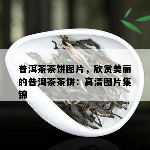 普洱茶茶饼图片，欣赏美丽的普洱茶茶饼：高清图片集锦