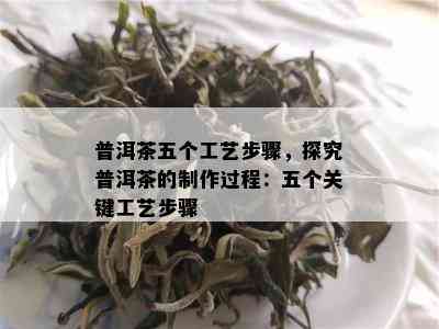 普洱茶五个工艺步骤，探究普洱茶的制作过程：五个关键工艺步骤