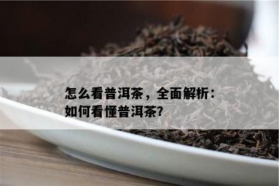 怎么看普洱茶，全面解析：如何看懂普洱茶？